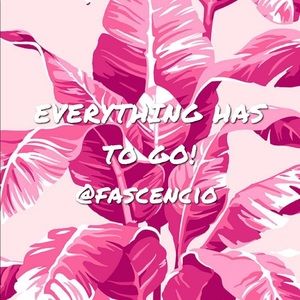 🌸🌸🌸🌸🌸🌸